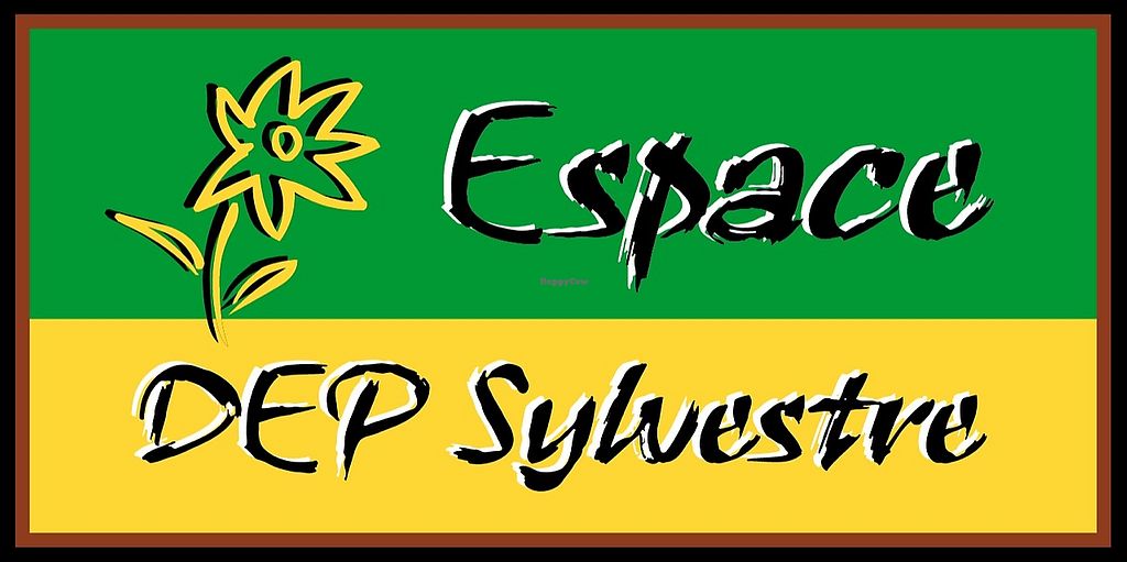 Dep sylvestre